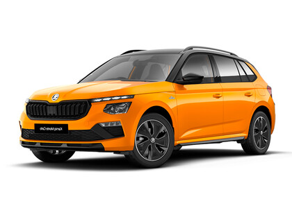 Ворсовые коврики на Skoda Kamiq 2019&nbsp;-&nbsp;2026 в Орле