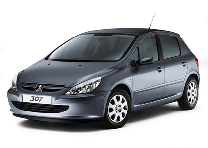 Ворсовые коврики на Peugeot 307 2001 - 2008 в Орле