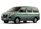 Коврики на Hyundai Starex 1996 - 2007 в Орле