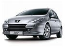 Коврики на Peugeot 307 2001 - 2008 в Орле