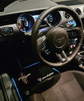 Ворсовые коврики на Ford Mustang VI 2013&nbsp;-&nbsp;2023 в Орле