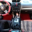 Ворсовые коврики на Subaru Forester IV 2012 - 2019 в Орле