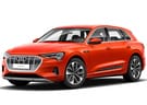Коврики на Audi e-tron 2018 - 2025 в Орле